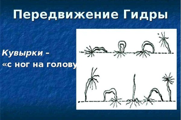 Свежие ссылки кракен